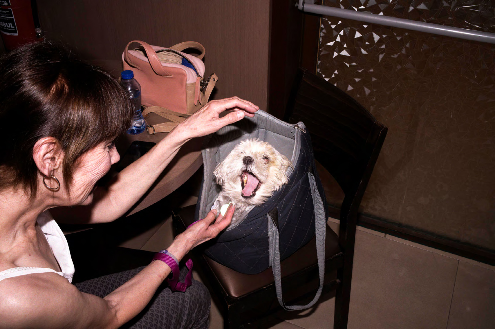 Le Jardin du Lunch 11